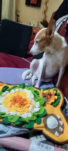 Sarah, 22
